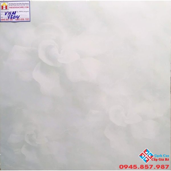 GẠCH 50X50 GIÁ RẺ XANH 3D V504