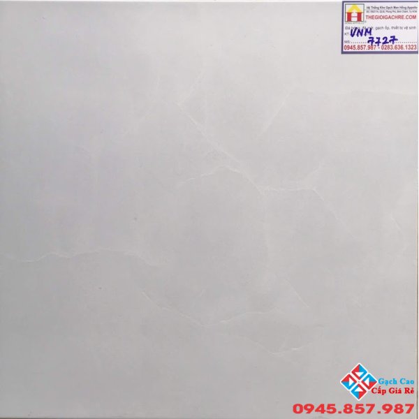 GẠCH LÁT NỀN 50X50 GIÁ RẺ 7727