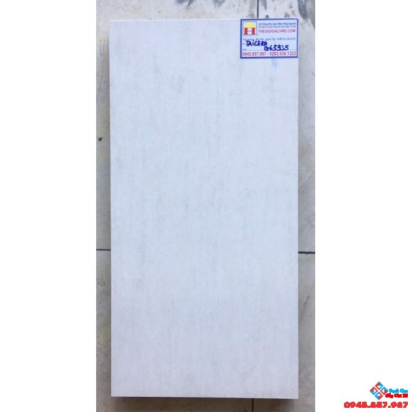 Gạch Ốp Tường 30X60 Taicera G63935