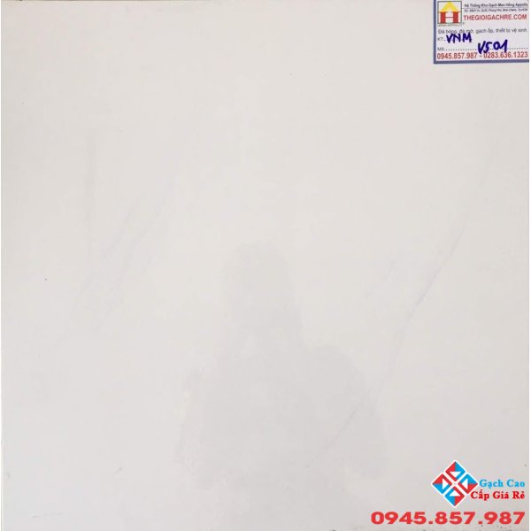 GẠCH LÁT NỀN 50X50 GIÁ RẺ V501