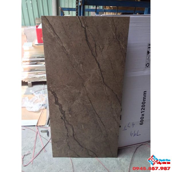 Đá đồng chất 60x120 bóng kiếng