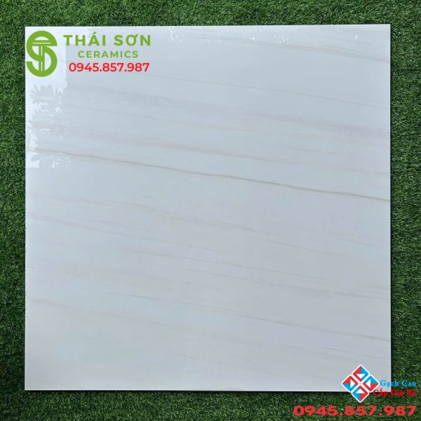 Gạch ấn độ 100x100 lát nền bóng kiếng cao cấp phú nhuận