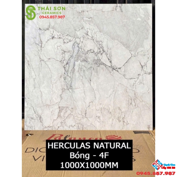 Gạch nhập khẩu 100x100 bóng kiếng cao cấp hcm