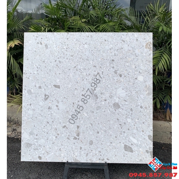 Gạch khổ lớn cao cấp 1200x1200 ấn độ tại Bến Tre