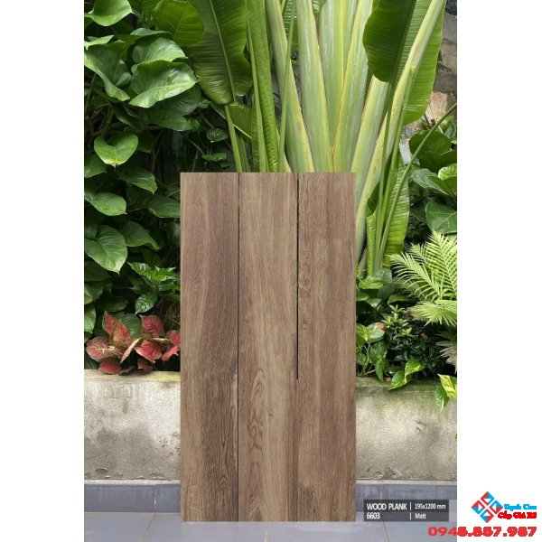 Gạch giả gỗ 19,5x120 cao cấp ấn độ