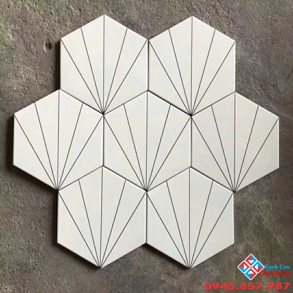 Gạch lát nền lục giác 20x30 nhập khẩu