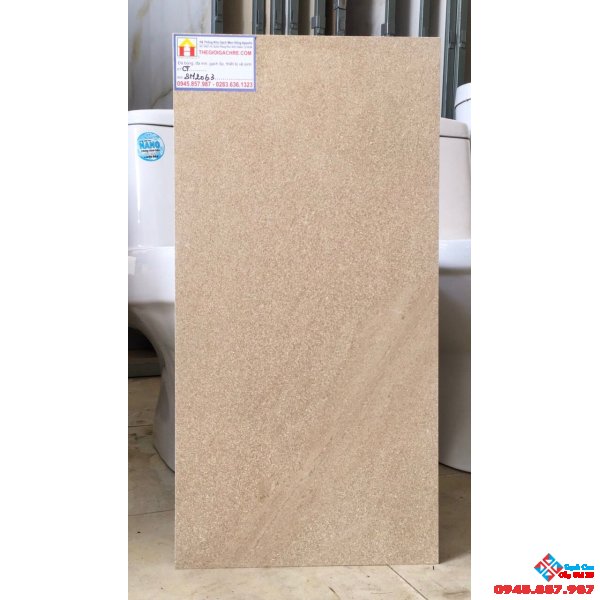 Gạch ốp tường toilet giá rẻ 30x60