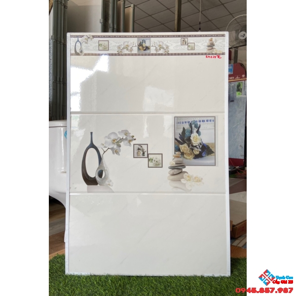 Gạch ốp tường 30x60 bóng ttc