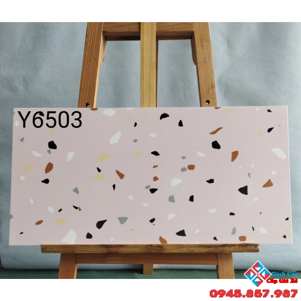 Gạch giả terrazzo trung quốc 30x60 ốp lát 