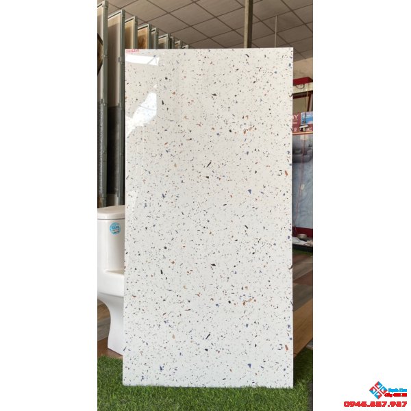 Gạch bóng kiêng ấn độ 60x120 terrazzo giả đá