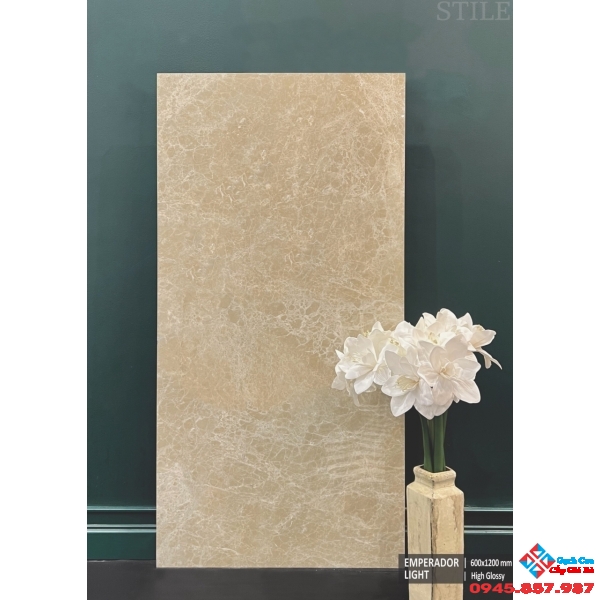 Gạch ấn độ 60x120 ốp lát mới nhất