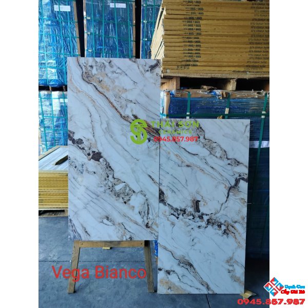 Gạch ấn độ 60x120 lát nền bóng kiếng Vega Bianco