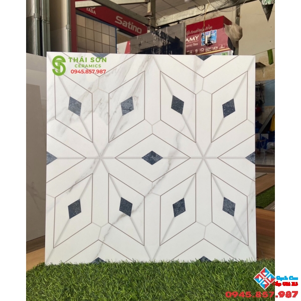 Gạch ốp lát ấn độ 60x60