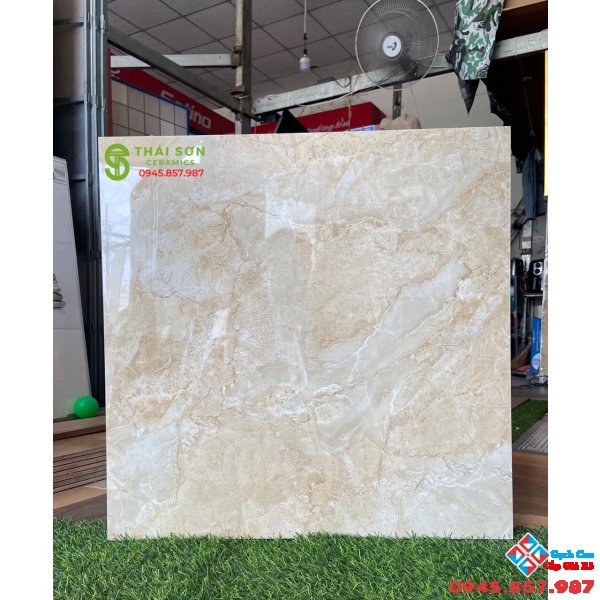 Gạch cao cấp ốp lát 60x60 catalan mới nhất