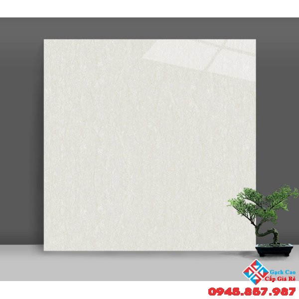 Gạch bóng kiếng catalan 60x60 xà cừ trắng