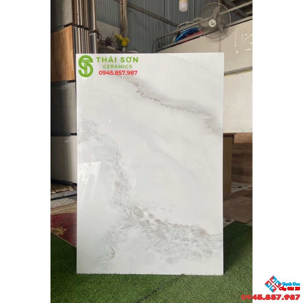Gạch tasa 80x120 cao cấp