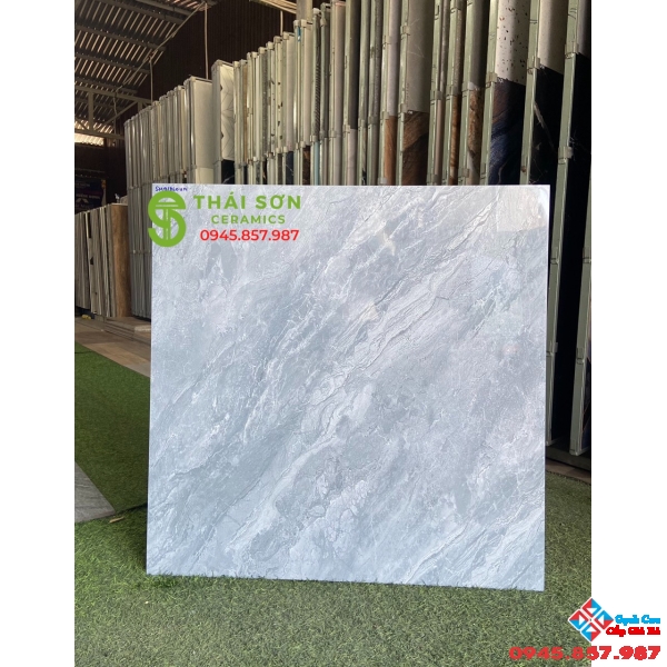 Gạch bóng kiếng giá rẻ 80x80 takao
