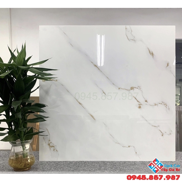 Đá bóng kiếng 60x60 trắng mạ vàng 6076