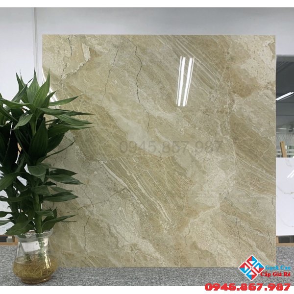 Gạch catalan 80x80 bóng kiếng