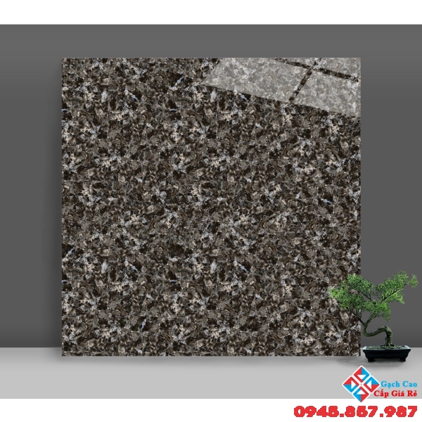 Gạch bóng kiếng catalan cao cấp 80x80 tại quận 7