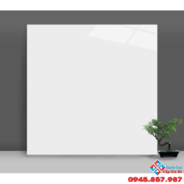 Đá bóng kiếng catalan 80x80 trắng tinh