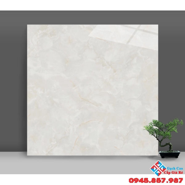 Kho gạch bóng kiếng 80x80 catalan giá rẻ