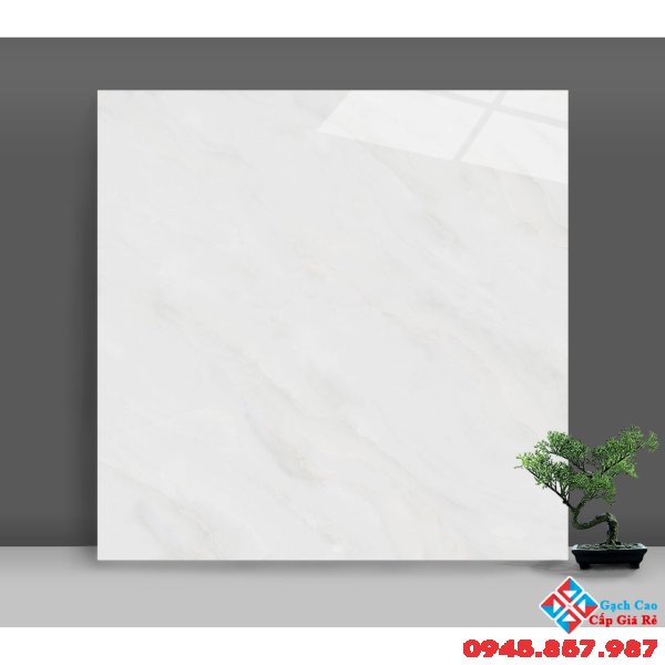 Gạch bóng kiếng 80x80 catalan giá rẻ mua ở đâu