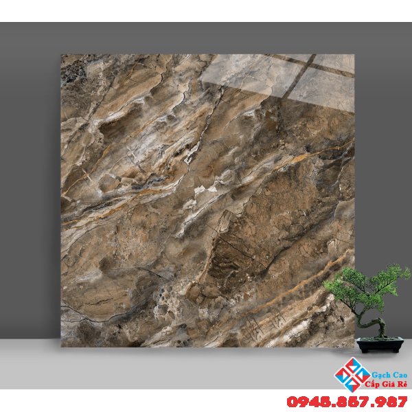 Tổng kho gạch catalan 80x80 bóng kiếng