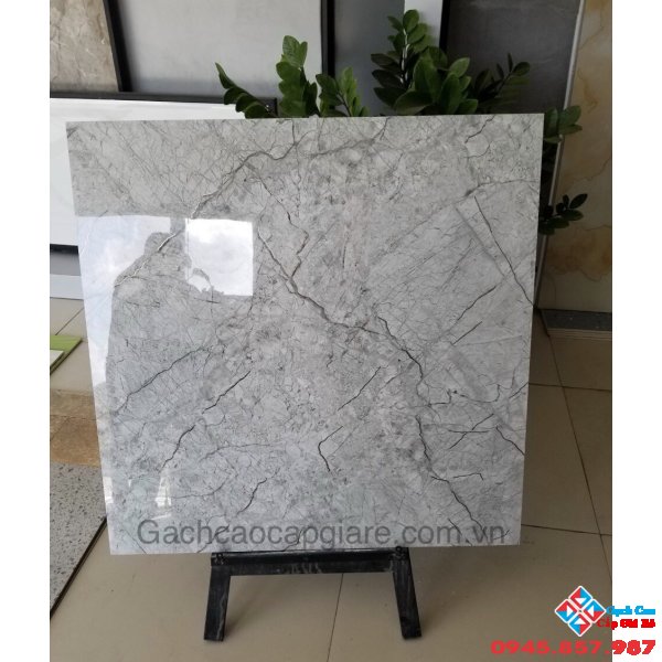 Gạch ốp lát khắc kim cao cấp 80x80 nhập khẩu giá tốt