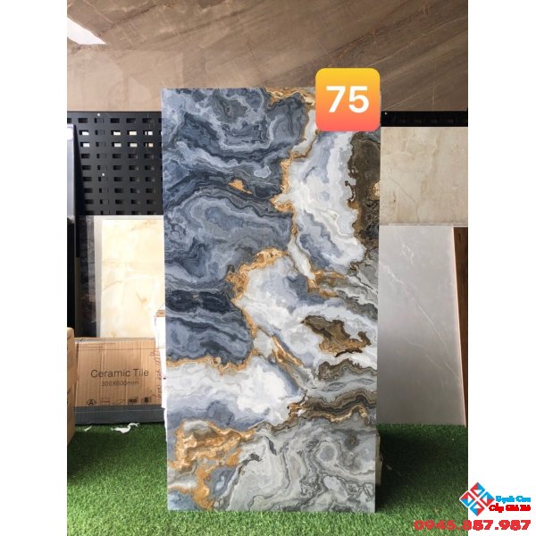 Gạch cao cấp nhập khẩu 60x120 bóng kiếng