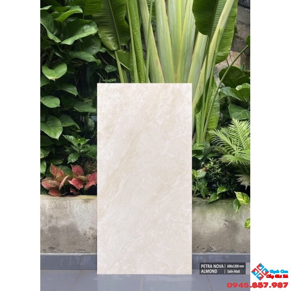 Gạch ấn độ 60x120 cao cấp mờ nhám