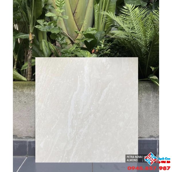 Gạch cao cấp nhập khẩu 60x60 nhám