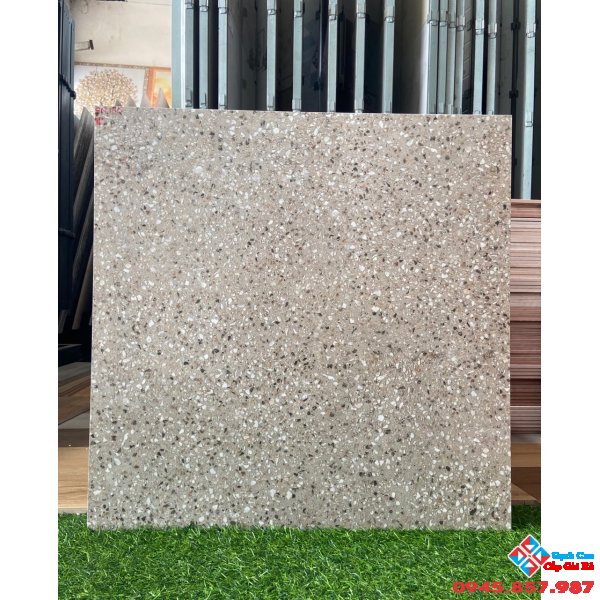 Gạch nhập khẩu ấn độ 60x60 hoa cương