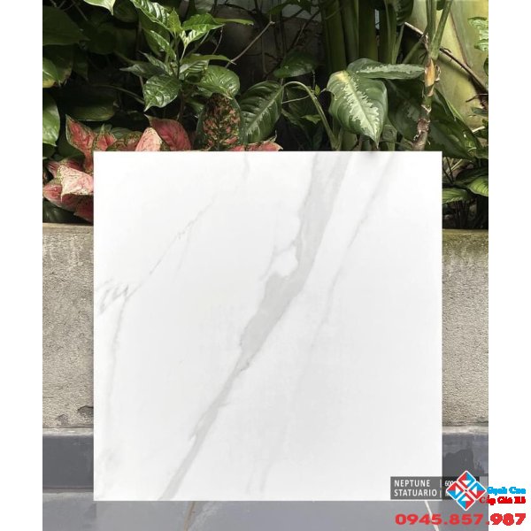 Gạch lát nền ấn độ 60x60 đá mờ tông sáng