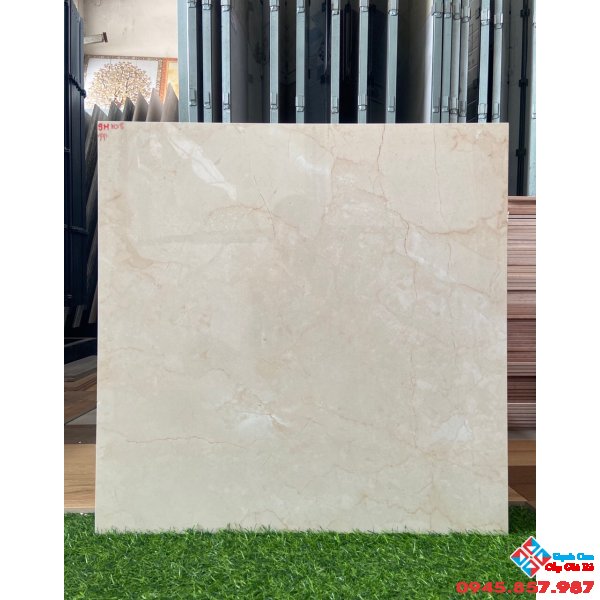 Gạch ấn độ quận 5 cao cấp 60x60