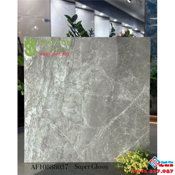 Gạch lát nền apodio 80x80 vân đá xám đồng chất cao cấp
