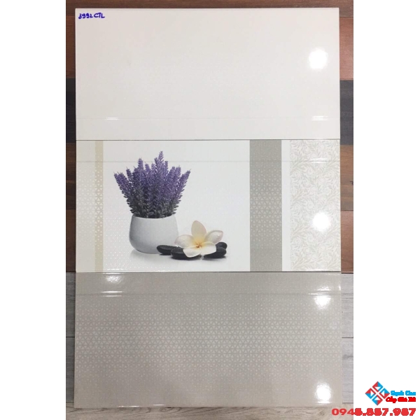 Gạch ốp tường catalan 30x60 giá rẻ