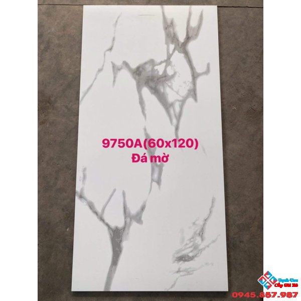 Gạch khổ lớn 60x120 đá mờ giá rẻ