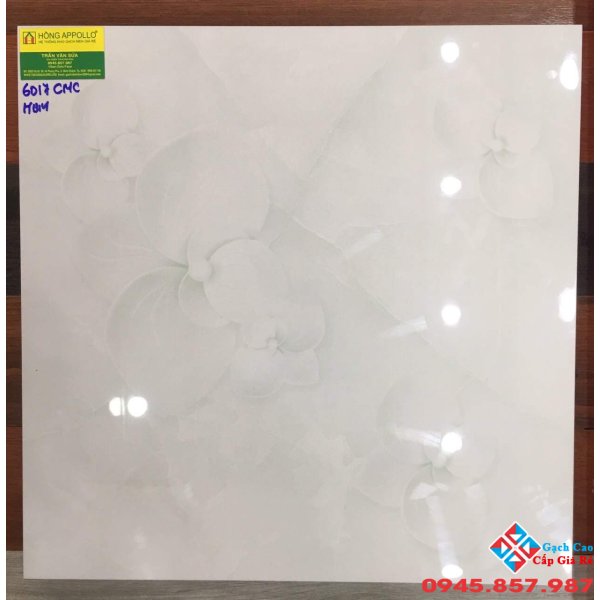 Gạch lát nền bóng kiếng 60x60 hoa 5D