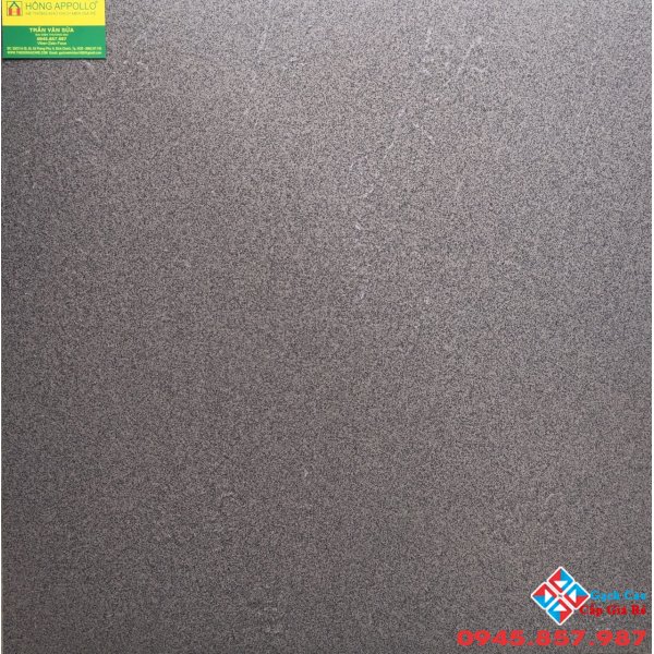 Gạch lát nền đồng chất 60x60 ý mỹ