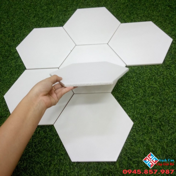 Gạch 20x30 lục giác ốp tường màu trắng