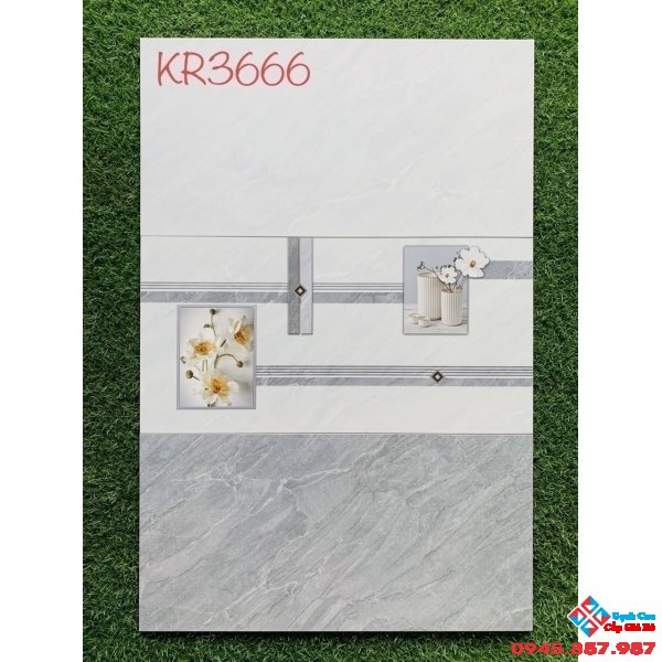 Gạch men bóng ốp tường 300x600 cao cấp tại mộc hóa
