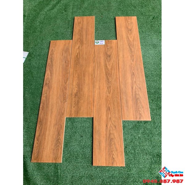Gạch vân gỗ mới nhất 20x100 nhập khẩu