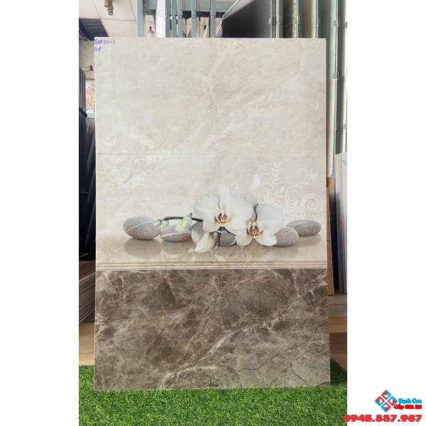Gạch ốp tường viglacera 30x60 mới nhất