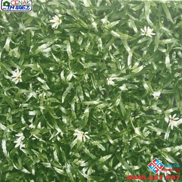 Mẫu gạch lát sân 40x40 tại hcm