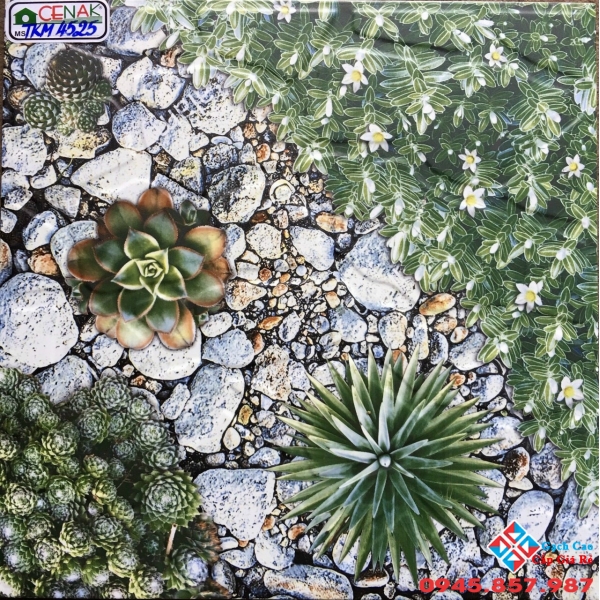 Gạch lát sân 40x40 giá rẻ tại bình chánh