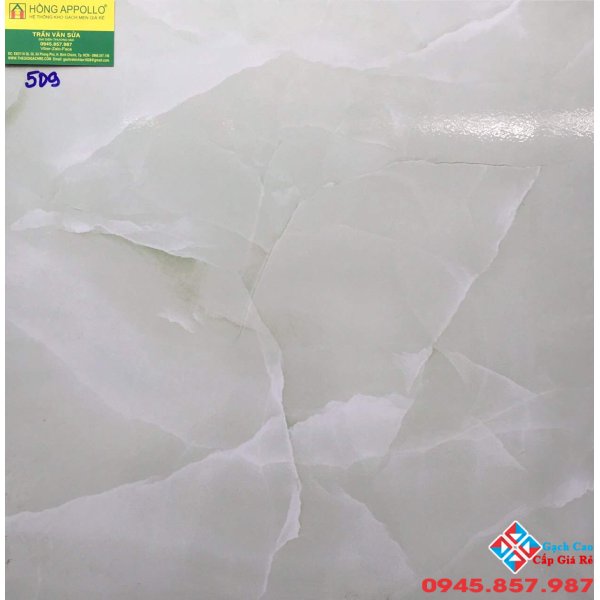 Gạch 50x50 lát nền vitto 509