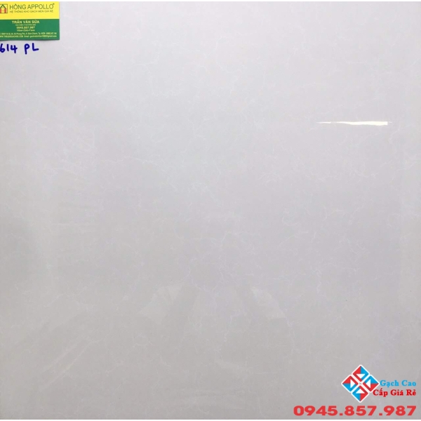 Gạch lát nền bóng kiếng 60x60 CMC