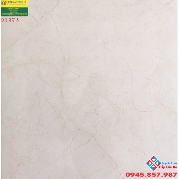 Đá bóng kiếng 60x60 vitto 773