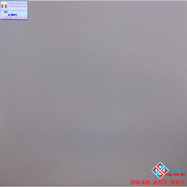 Đá lát sàn 30x30 taicera 68001